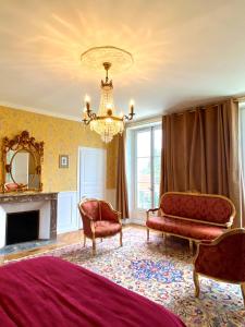 马恩河畔埃索姆玛乔莲城堡酒店的一间带一张床和吊灯的客厅