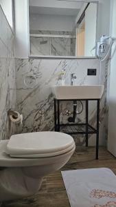 迪夫亚卡Green Park Divjakë的浴室配有白色卫生间和盥洗盆。