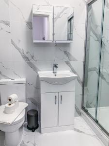 史云顿Swindon City Centre Apartments by Elegance Living的一间带水槽、卫生间和镜子的浴室