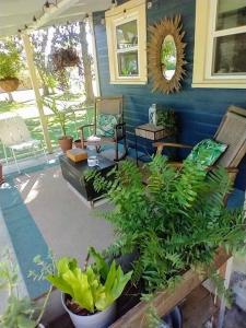 劳雷尔Gingerbird Art Suite的一间种植了植物和蓝色墙壁的客厅