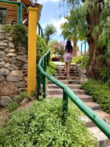门多萨帕卡里坦普山林小屋的一位妇女用绿色的扶手爬上楼梯