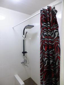 库塔伊西Hostel Mana Kutaisi的白色浴室设有淋浴和浴帘