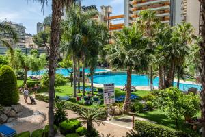 贝尼多姆Gemelos 22-3-21D Apartment Deluxe Levante Beach的享有棕榈树和建筑的游泳池景色