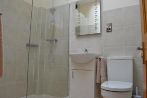 塞特尔Ashes Farm - Ingleborough View cottage的带淋浴、卫生间和盥洗盆的浴室