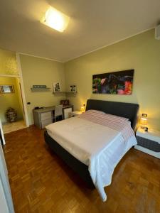 阿罗纳Civico 24 Appartamento in centro ad Arona的卧室配有一张床,墙上挂有绘画作品
