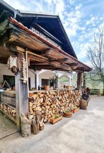 KuterevoGuest Accommodation Butina的墙边有一堆木头的建筑物