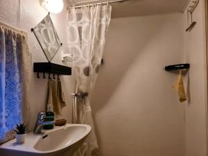 ÖverkalixArctic Circle Cabin的浴室设有白色的淋浴帘和水槽
