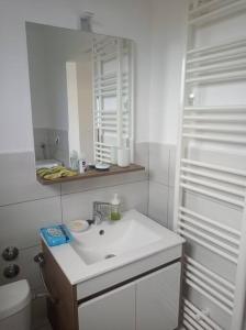 瓦拉日丁Lovely flat, city center with free parking的白色的浴室设有水槽和镜子