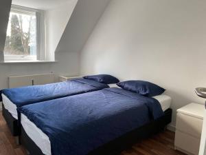 比克勒Renovated apartment near nature的卧室配有2个蓝色枕头