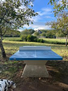 阿让塔*A setting between Dordogne and swimming pool*的公园里的一个蓝色乒乓球桌,有狗