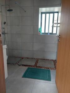 Ponta DelgadaCasa Xavier的地面上设有带绿色垫子的淋浴的浴室