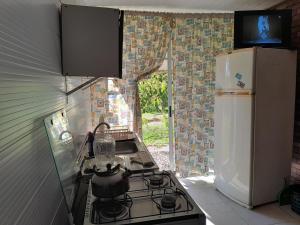 San LuisAmor amor的厨房配有炉灶和冰箱。