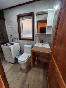科克拉内Casa Cochrane的一间带卫生间、水槽和镜子的浴室