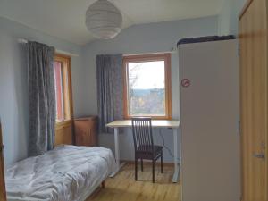 萨利色尔卡Kiisa A and B with aurora rooms的一间卧室配有一张床、一张书桌和一个窗户。