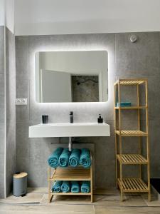 巴黎MARAIS Appartement 2 Chambres 2 Salles de bain - SPA JACUZZI !的浴室配有盥洗盆、镜子和毛巾