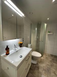 哥德堡Spacious private room in a Vegan household的一间带水槽、卫生间和镜子的浴室