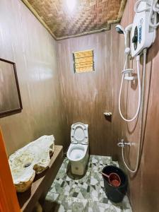 圣胡安Almare Guest House Siquijor的一间带卫生间和淋浴的小浴室