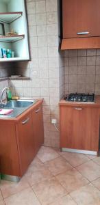 洛夫兰Apartment Dhalia的厨房配有水槽和台面
