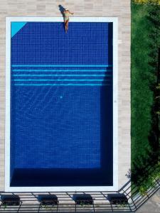 伊塔帕里卡岛维拉克鲁兹Pousada Jardins - Mar Grande的鸟飞过蓝色的大游泳池