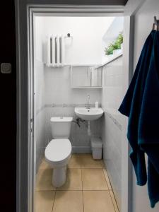 索波特Hostelino的白色的浴室设有卫生间和水槽。