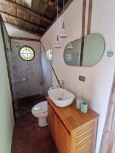 萨兰托Casa Tien的一间带水槽、卫生间和镜子的浴室