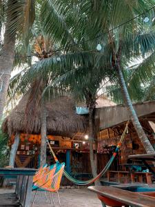 奥尔沃克斯岛Kin Hostal and Camping的海滩上的一组椅子和棕榈树
