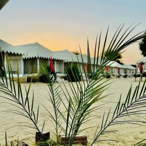 斋沙默尔Sam dunes desert safari camp的海滩上建筑物前的植物