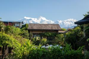 博卡拉寺庙树温泉度假村的山底房子