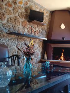 塞尼梅西奇卡罗Ξενώνας Λίκνο的客厅设有带壁炉的石墙