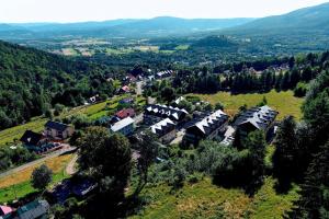 卡尔帕奇Skalnica的享有村庄的空中景色,在山丘上拥有房屋