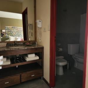 厄尔查尔坦鲁纳尤姆宾馆的一间带水槽、卫生间和镜子的浴室