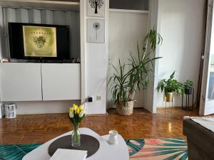贝尔格莱德Apartment Paun的客厅配有电视和鲜花。