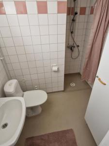 JokioinenHumppilantie的浴室配有卫生间、盥洗盆和淋浴。
