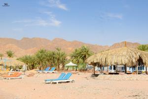 Nuweiba‘ el MuzeinahPalm Valley camp的海滩上的一组椅子和遮阳伞