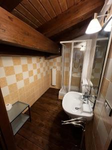 塞斯特雷Chalet Edelweiss - Estella Hotel Collection的一间带水槽和淋浴的浴室