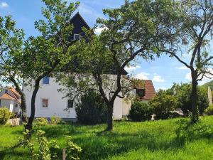 BurladingenLandgasthof Lamm Ferienwohnungen的草丛中的白色房子