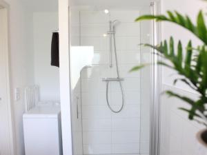 BurladingenLandgasthof Lamm Ferienwohnungen的带淋浴的浴室(带卫生间和水槽)