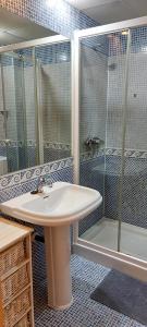 马德里Apartamento 1的一间带水槽和淋浴的浴室