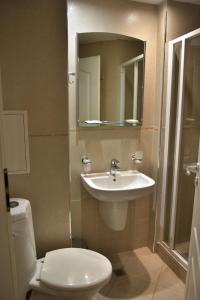 班斯科舒适公寓式酒店的一间带水槽、卫生间和镜子的浴室