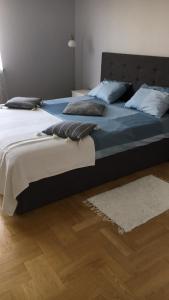 克拉科夫Apartament Alutka的一间带两张床的卧室和地毯