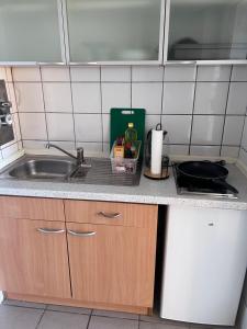 科隆Ferienwohnung in Köln 2910的厨房台面设有水槽和水槽