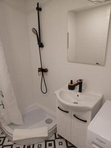 圣菲利普雅科夫Katarina的白色的浴室设有水槽和淋浴。