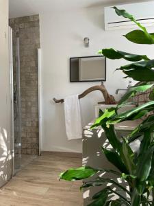 尼姆La Canopée Private Lodge的浴室设有墙上的电视和植物