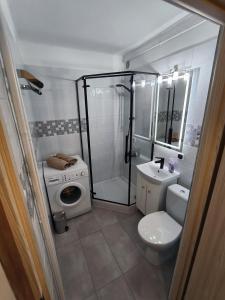 厄尔科Studio 2 Apartment的带淋浴、卫生间和盥洗盆的浴室