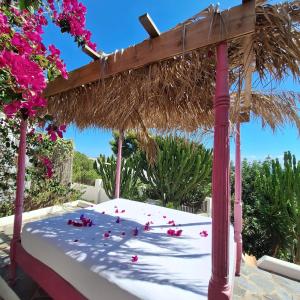 圣埃乌拉利亚布埃纳维斯塔套房酒店的一张带草伞和一些粉红色花卉的床