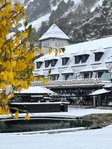 安道尔城安道​​尔公园酒店的屋顶上积雪的建筑