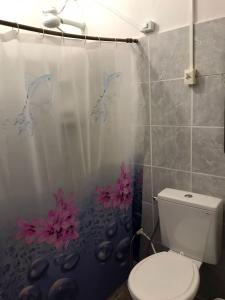 马拉戈日Cantinho da mery 1的浴室配有带卫生间的淋浴帘