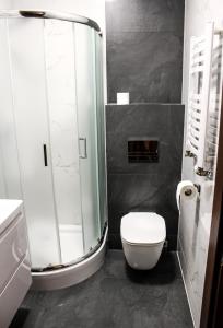 拉多姆Hotel Regina的一间带卫生间和玻璃淋浴间的浴室