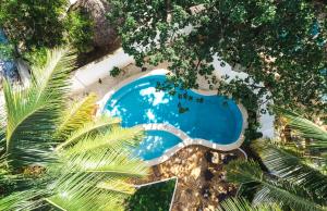 江比阿TASNEEM Aparthotel的享有棕榈树游泳池的顶部景致