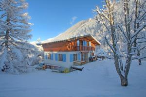 夏蒙尼-勃朗峰Chalet Clara的雪地里的小木屋,有树
